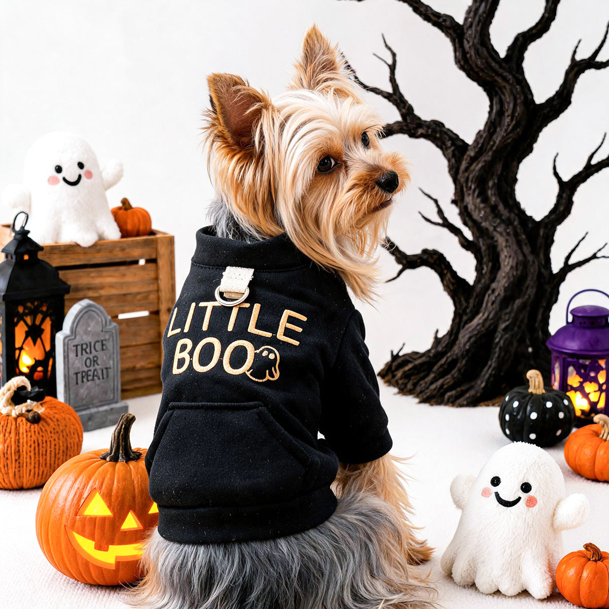 Pet Clothingfor Small Dogs and Cats - Black Halloween Sweatshirt for Teddy, Bichon, and Puppies