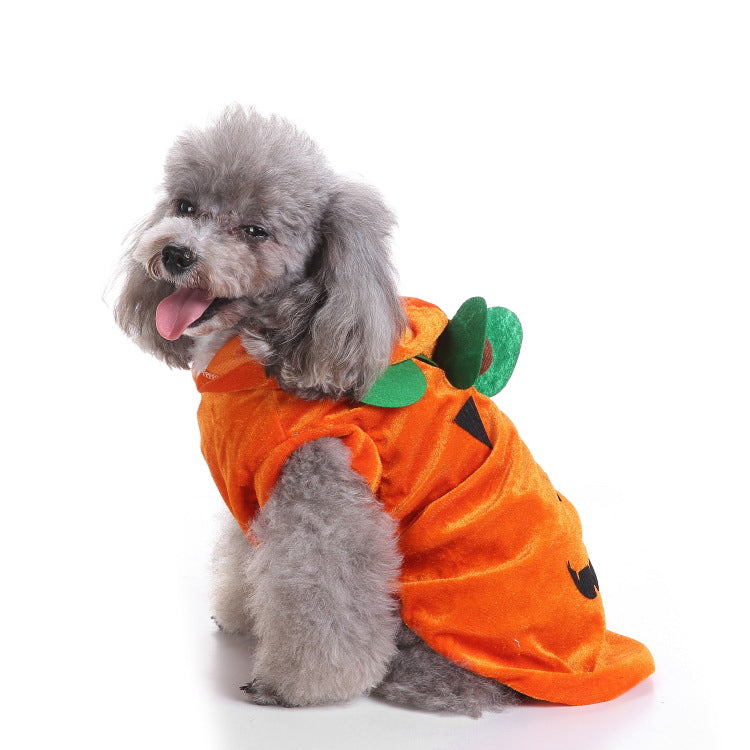 Halloween Pet Costume Quirky Bat Style Funny Outfit for Dogs &amp; Cats