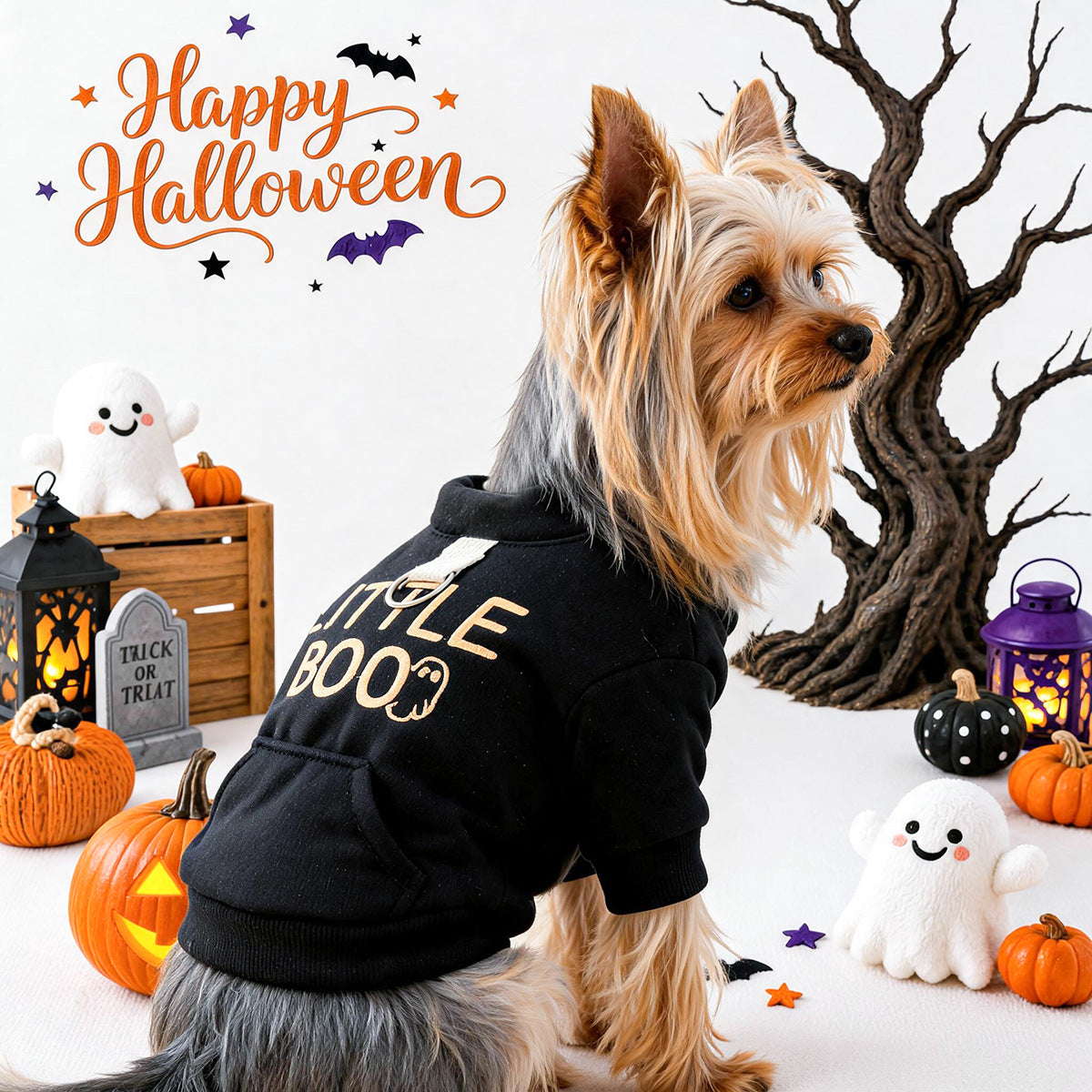 Pet Clothingfor Small Dogs and Cats - Black Halloween Sweatshirt for Teddy, Bichon, and Puppies